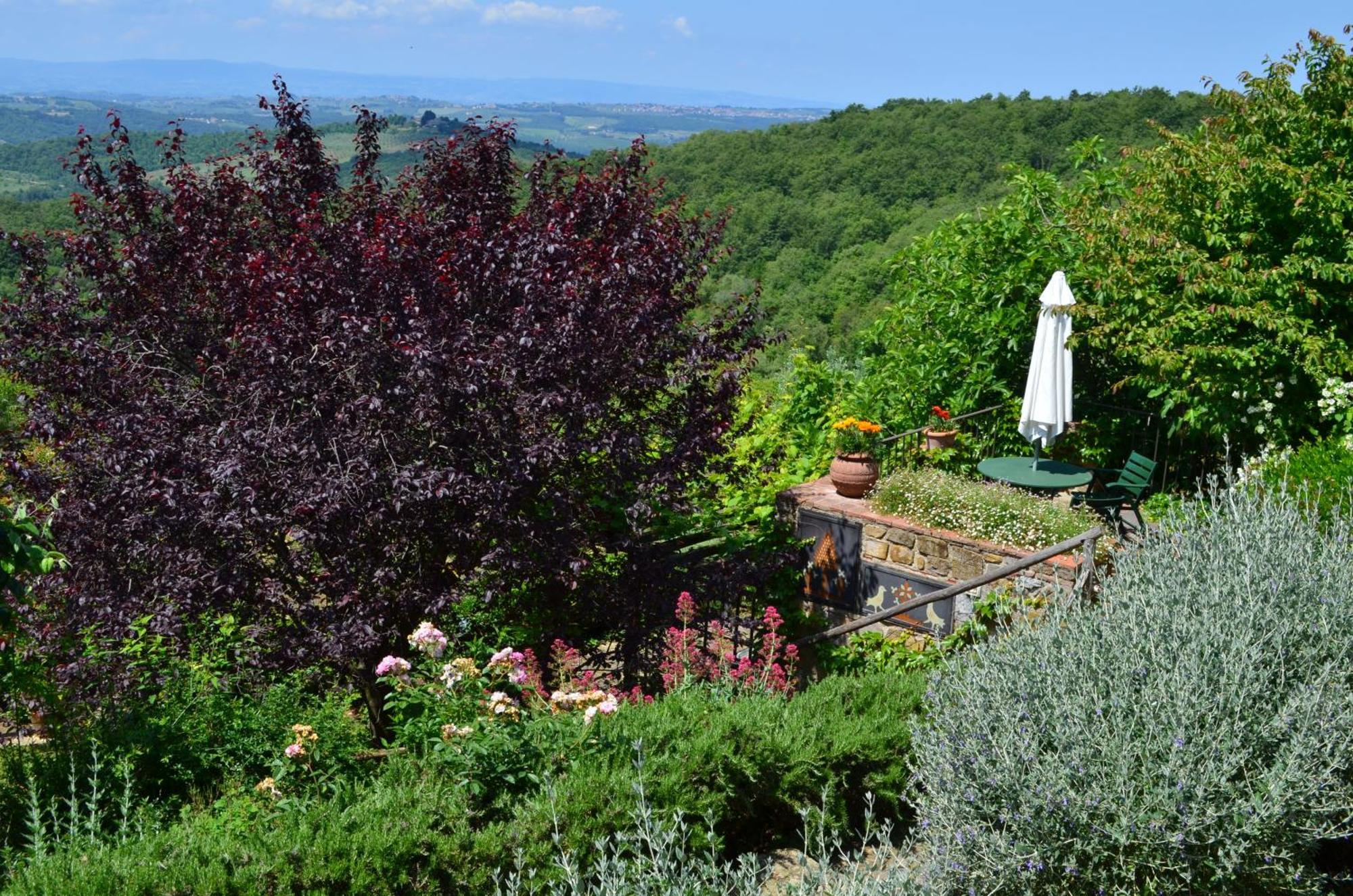 Casa Ercole Farm Stay Greve in Chianti Exterior photo